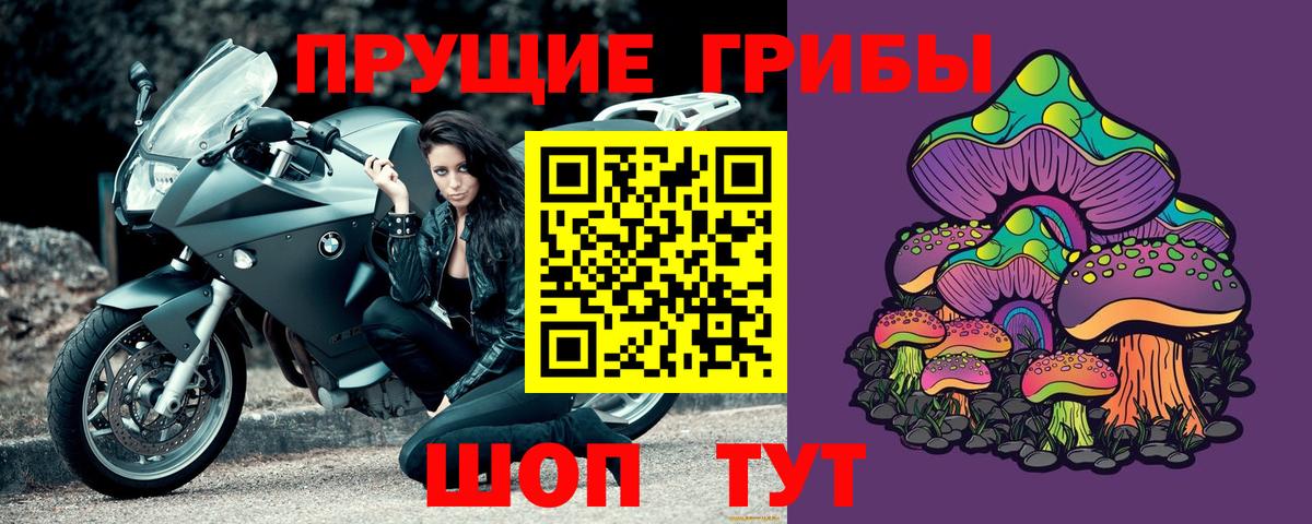 Псилоцибиновые грибы Psilocybe Кызыл