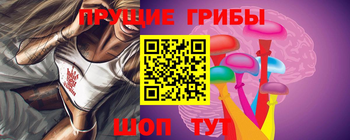Псилоцибиновые грибы GOLDEN TEACHER  Вход с VPN  Псилоцибиновые грибы мицелий  Кызыл 